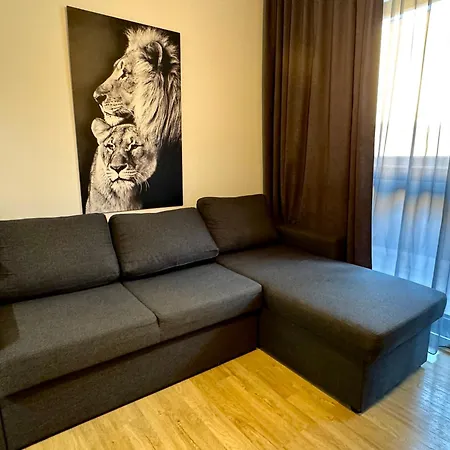 Apartment Sredec 77 *